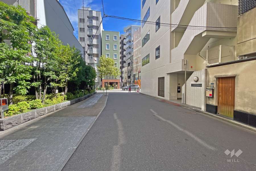 敷地の南側前面道路（西側から）