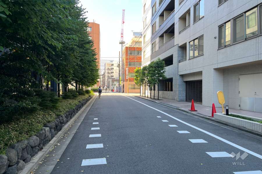 敷地南西側の前面道路