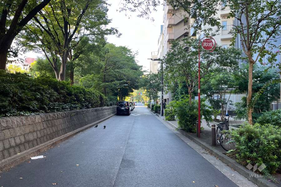 敷地東側の前面道路