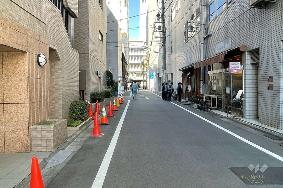 敷地の北東側前面道路（南東側から）