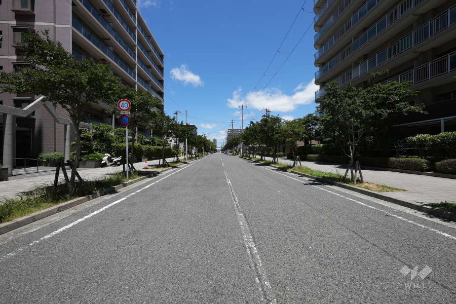 敷地東側の前面道路（南側から）