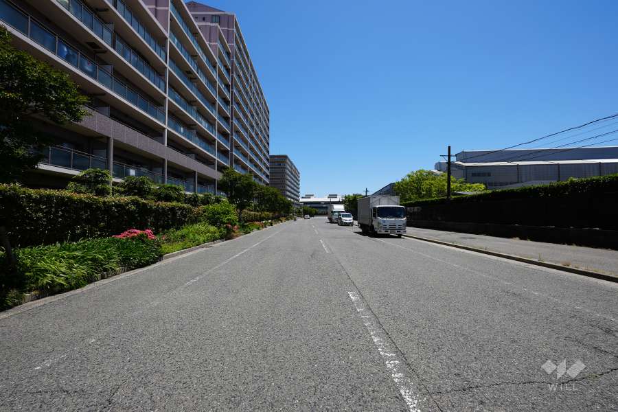 敷地南側の前面道路（西側から）