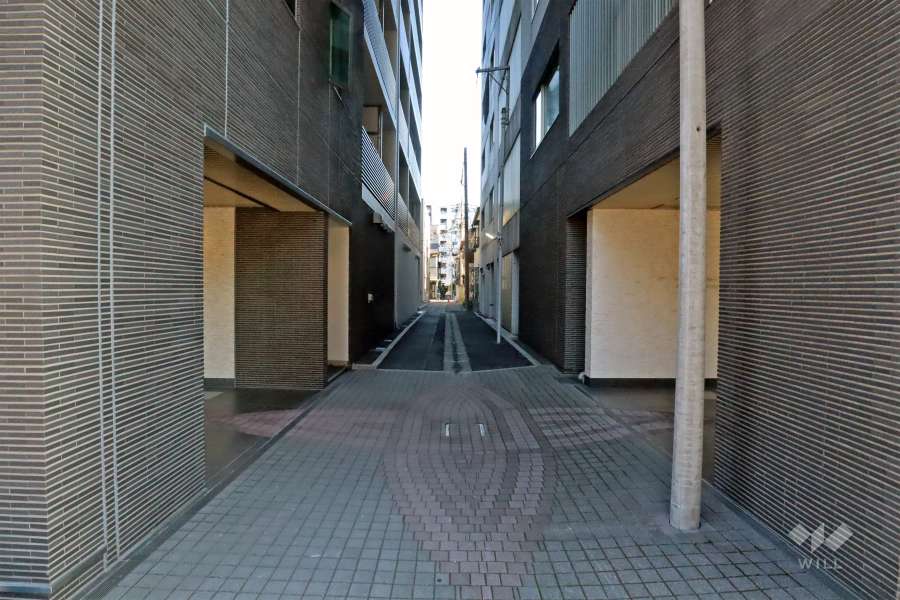 敷地南西側の通路