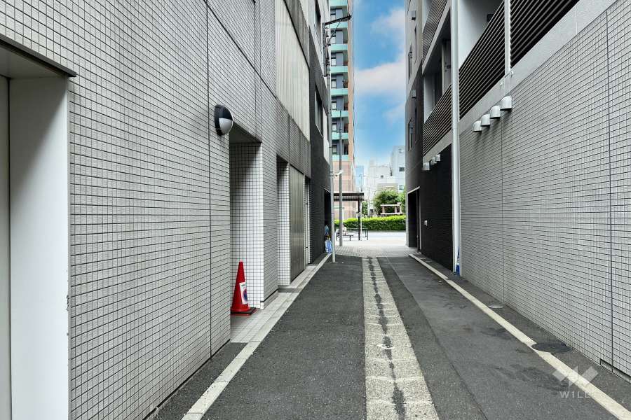 敷地の北東側前面道路（南東側から）