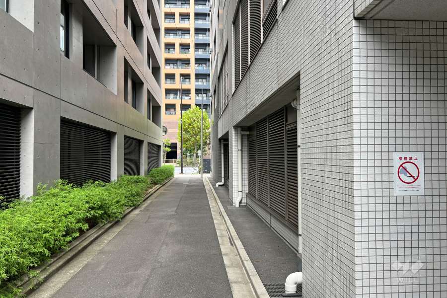 敷地の南西側前面道路（南東側から）