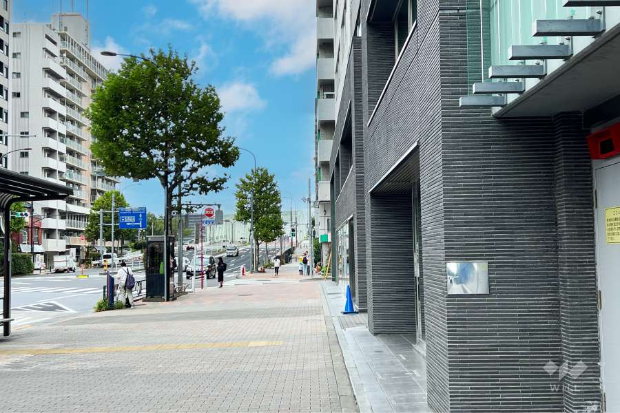 敷地の北西側前面道路（南西側から）