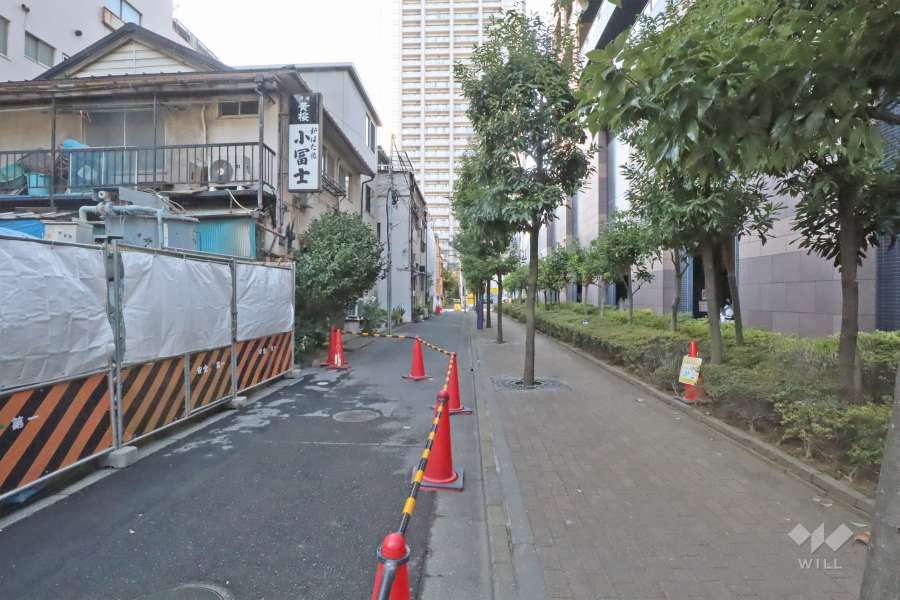 敷地南西側の前面道路(南東側から)