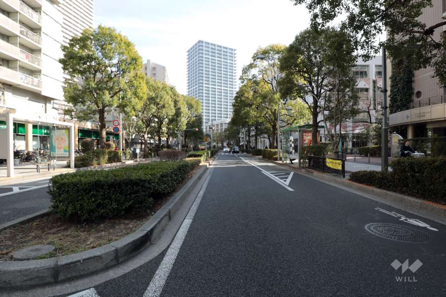 敷地東側の前面道路(北側から)