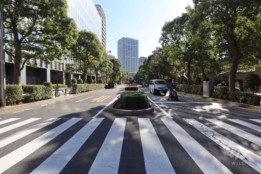 敷地西側の前面道路　　