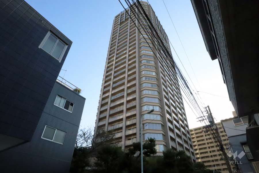 ライオンズタワー月島の外観(北側から)