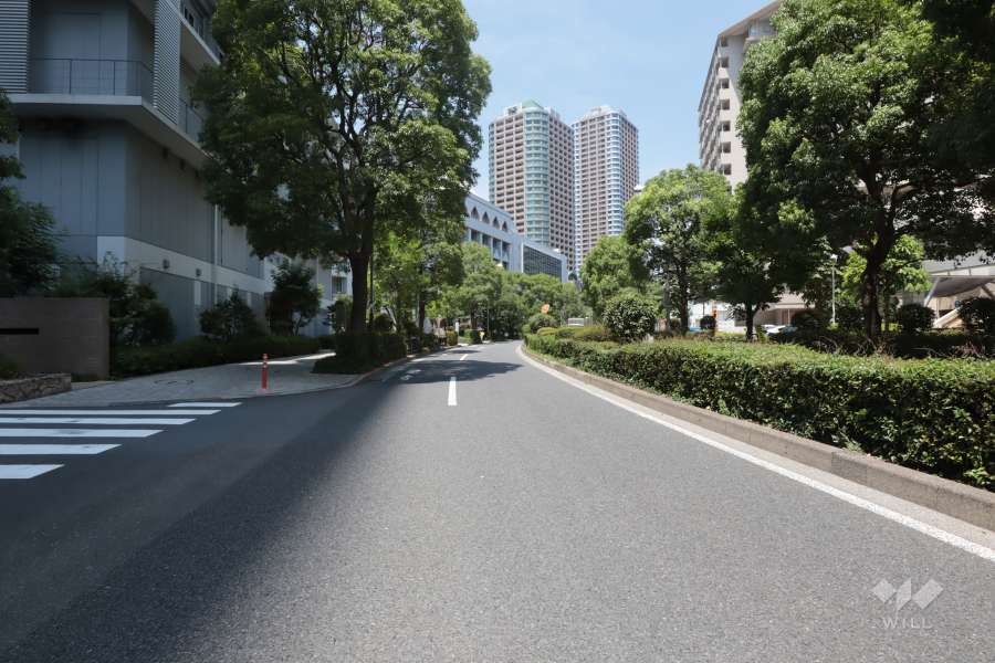 敷地北東側の前面道路(東方面から)