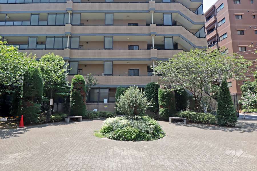 敷地に隣接する広場