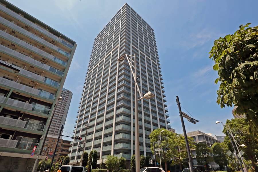 ザ・クレストタワー外観(東側から)