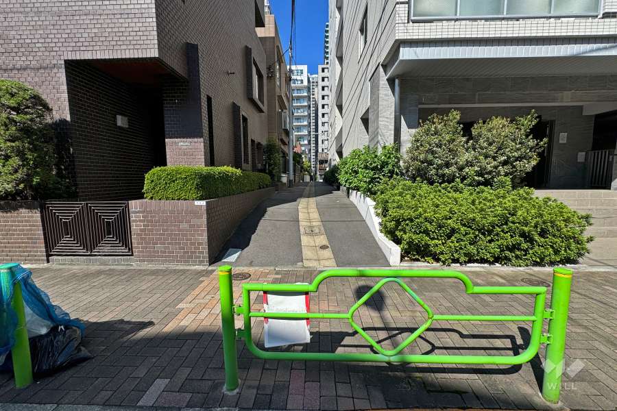 敷地南西側の前面道路（南東側から）