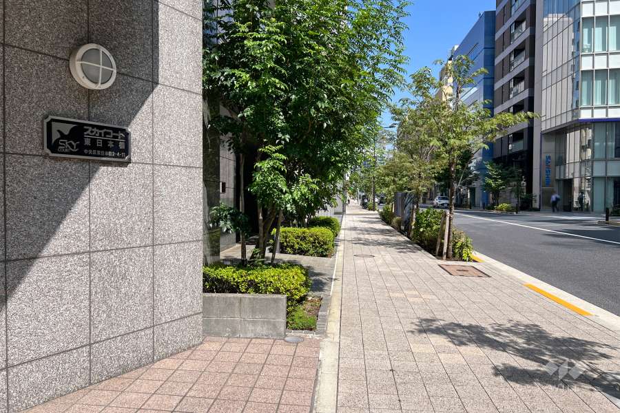 敷地南東側の前面道路（南西側から）