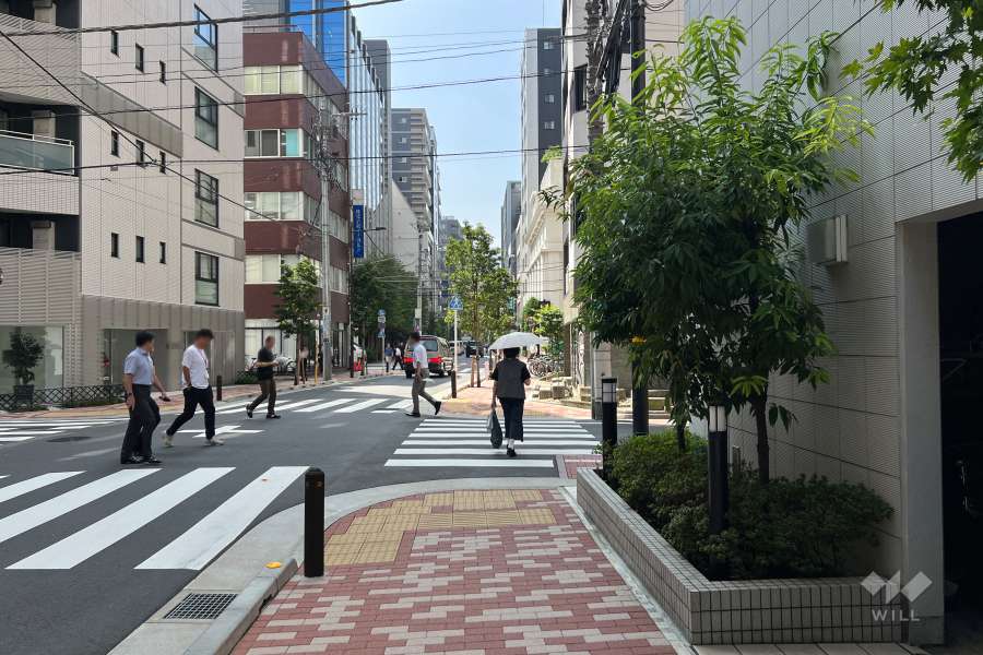 敷地の南東側前面道路（北東側から）