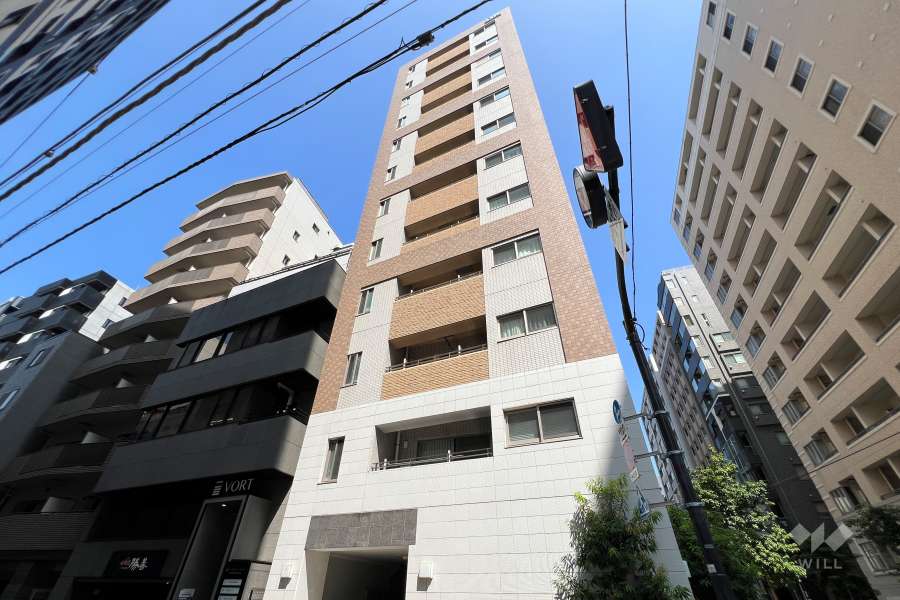 グリーンパーク日本橋アペゼの外観（南西側から）