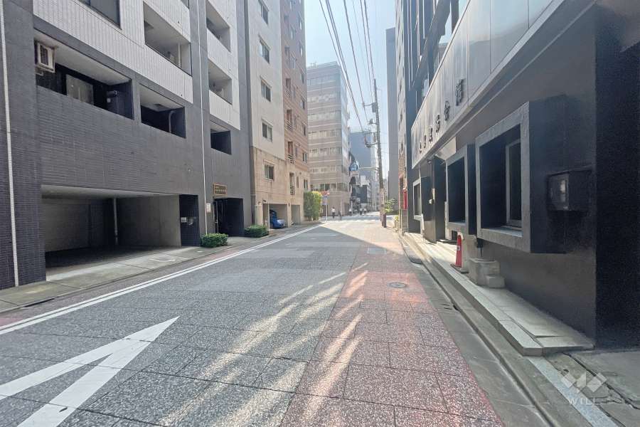 敷地北西側の前面道路（北東側から）