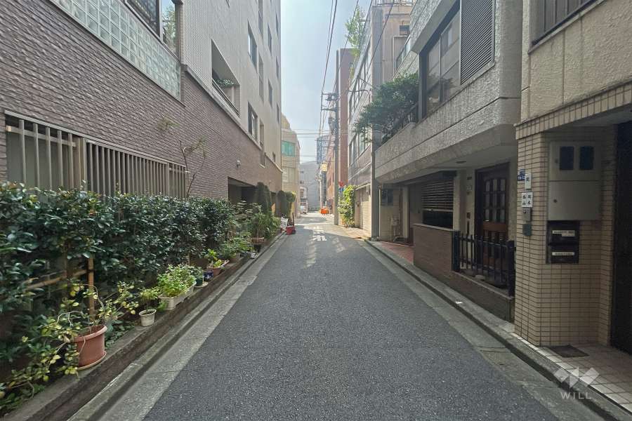 敷地の北西側前面道路（北東側から）