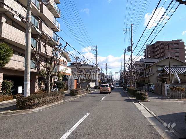 敷地南側の前面道路。歩道のある街路樹がきれいな通りです。