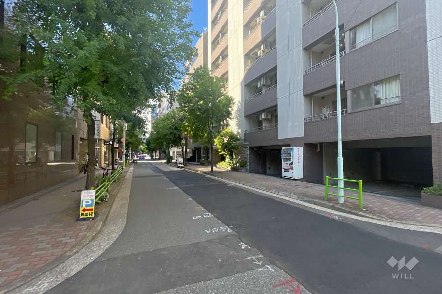 敷地の南西側前面道路（南東側から）