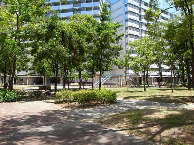 敷地内の公園。木々が茂り、各所にベンチや遊具、砂場などが設置されています。