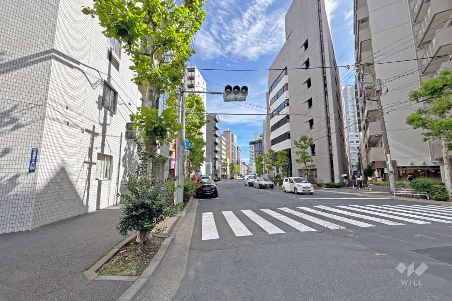 敷地の南西側前面道路（北西側から）