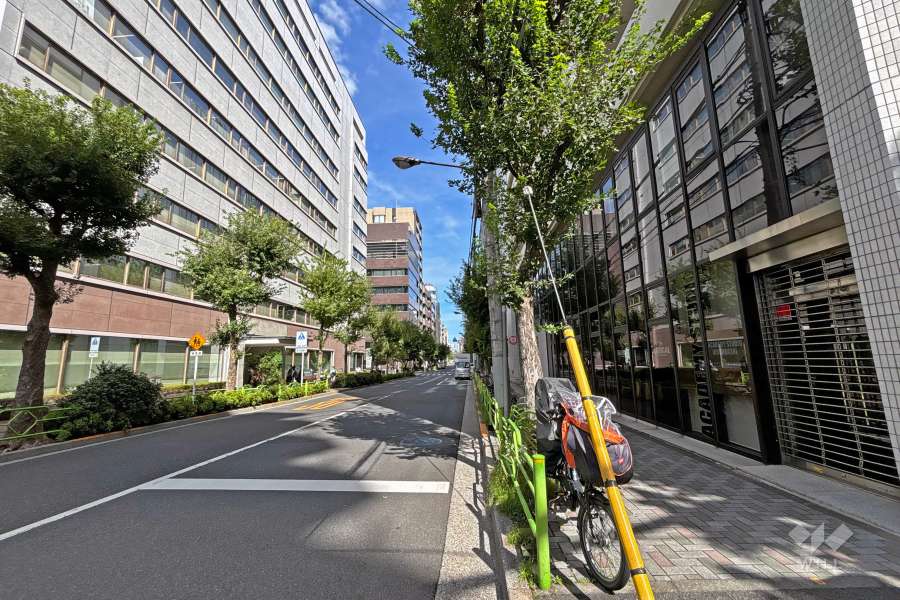 敷地の北西側前面道路（南西側から）