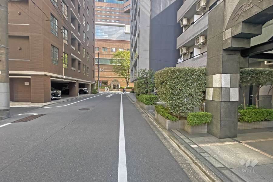 敷地の北東側前面道路（西側から）