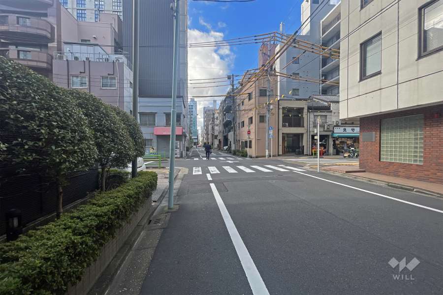 敷地の北東側前面道路（東側から）