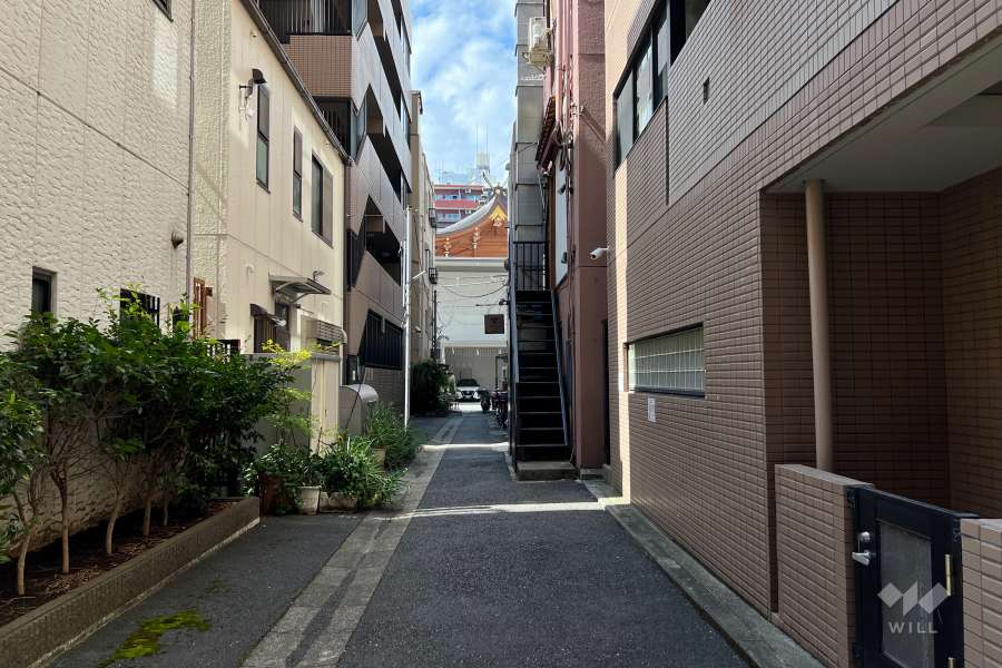 敷地の南東側前面道路（北東側から）