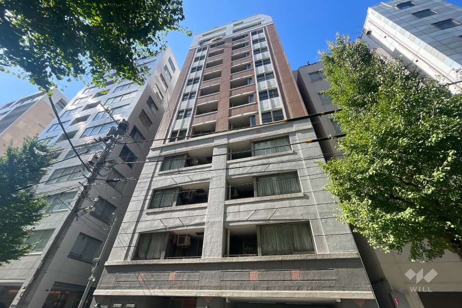 グランシティ日本橋ラフィーネの外観（南東側から）
