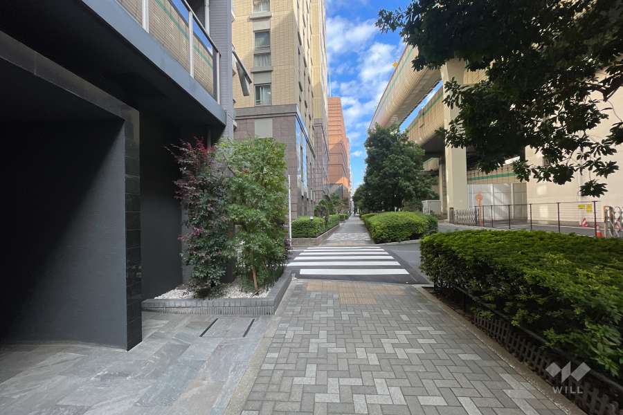 敷地の南東側前面道路（南西側から）