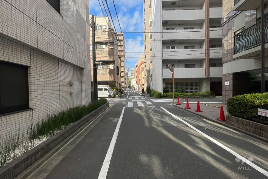 敷地の北東側前面道路（南東側から）