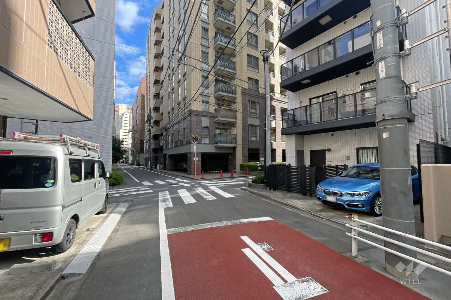 敷地の北西側前面道路（南西側から）