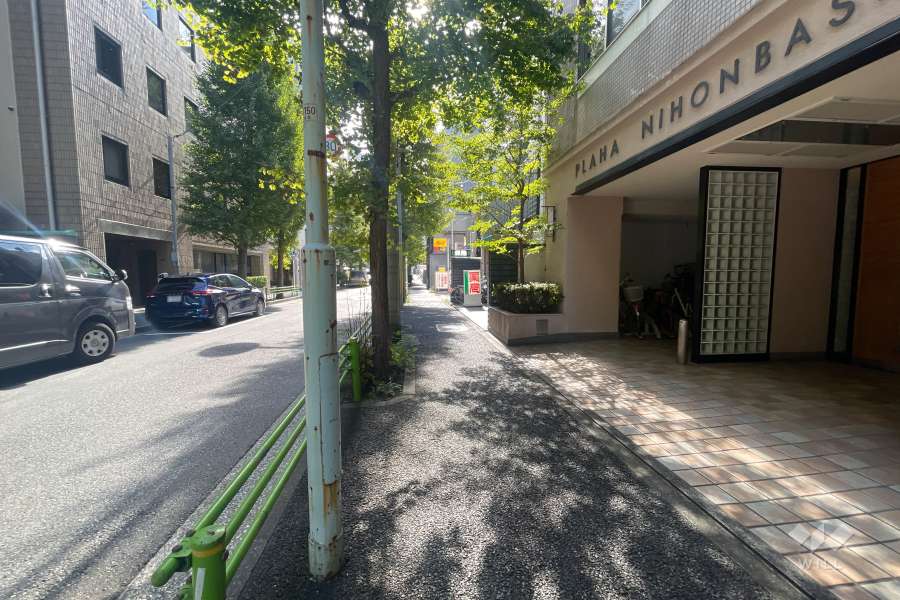 敷地の南東側前面道路（北東側から）