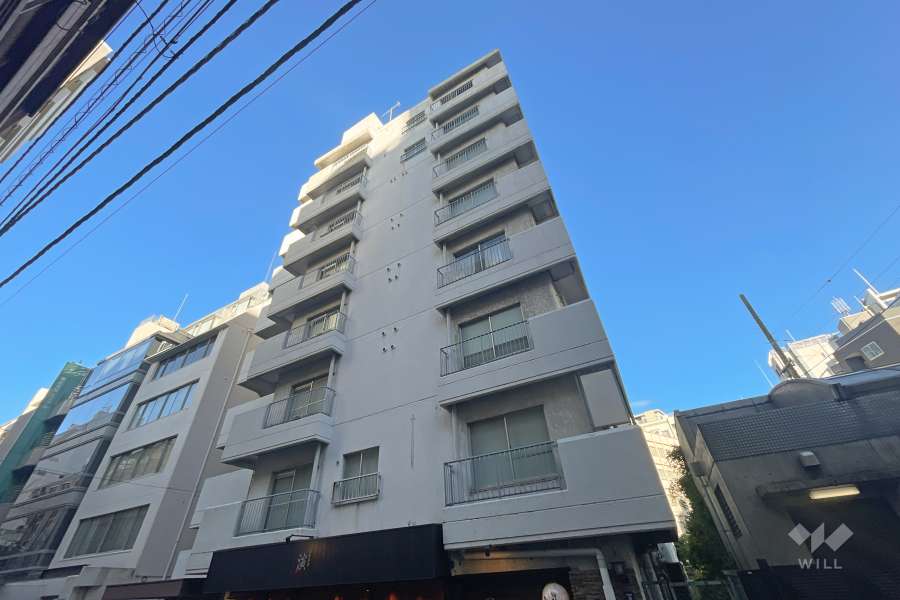 ブルーハイツ茅場町の外観（南西側から）