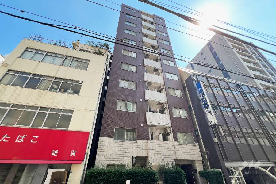 ラグジュアリーアパートメント東日本橋の外観（北側から）