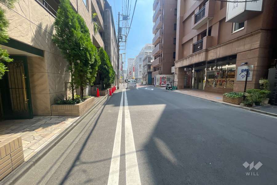 敷地の東側前面道路（南側から）