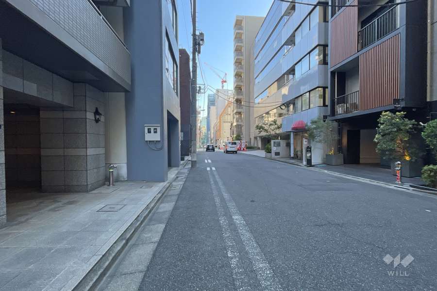 敷地の西側前面道路（北側から）