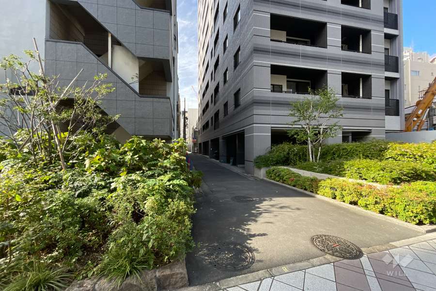 敷地南側の前面道路（東側から）