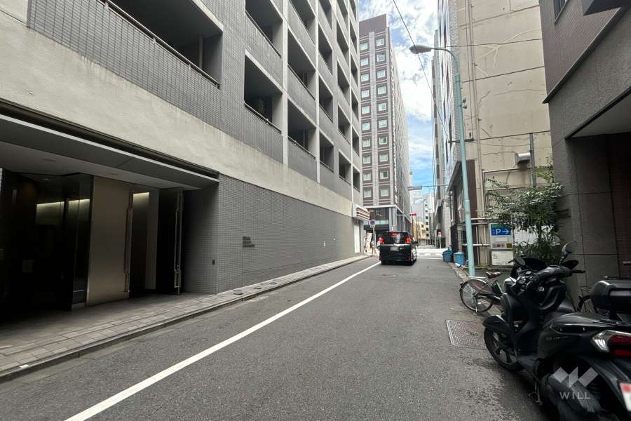 敷地の西側前面道路（北側から）