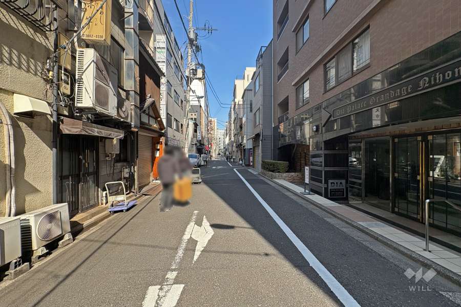 敷地北西側の前面道路（南西側から）