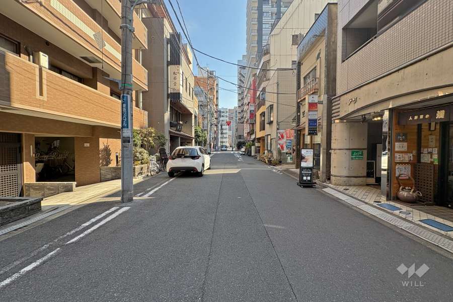 敷地南西側の前面道路（北西側から）