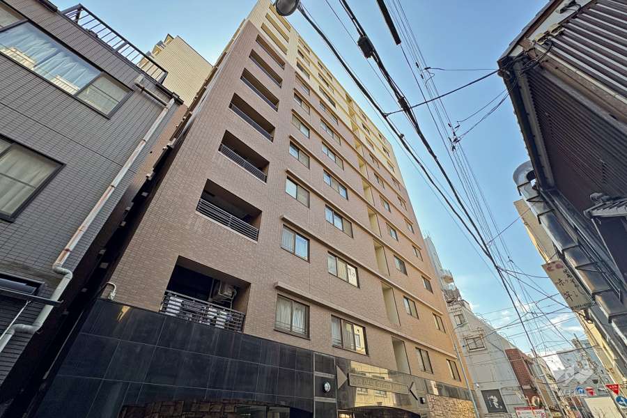 ダイアパレスグランデージ日本橋の外観（北側から）