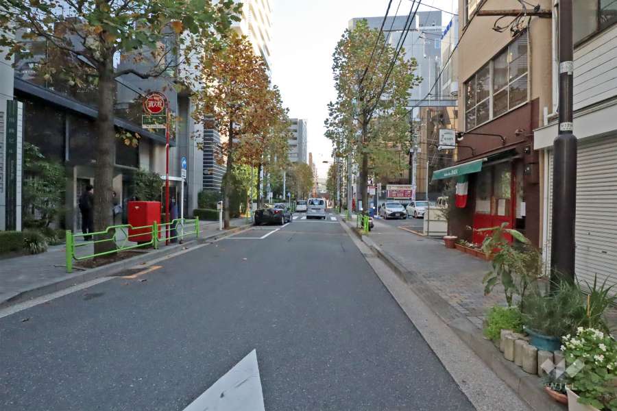 敷地南西側の前面道路(北西側から)