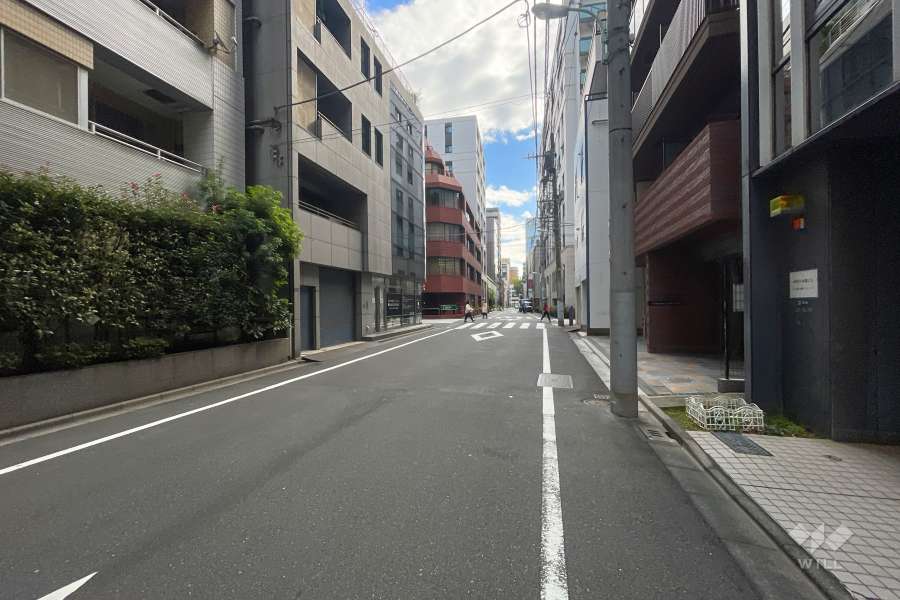 敷地の西側前面道路（南側から）