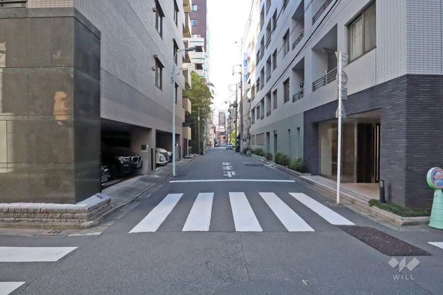 敷地北西側の前面道路(南西側から)