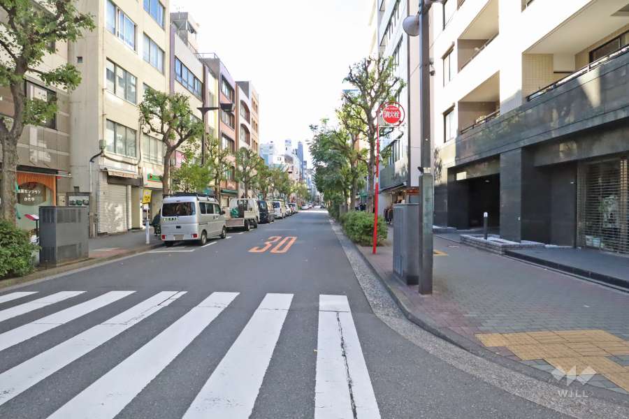 敷地南東側の前面道路(北東側から)