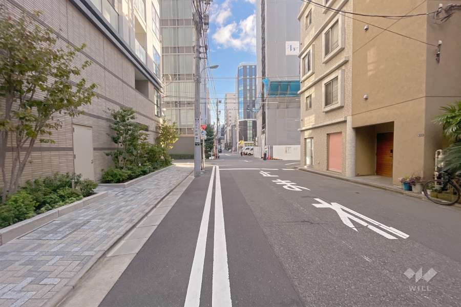 敷地南東側の前面道路（南西側から）